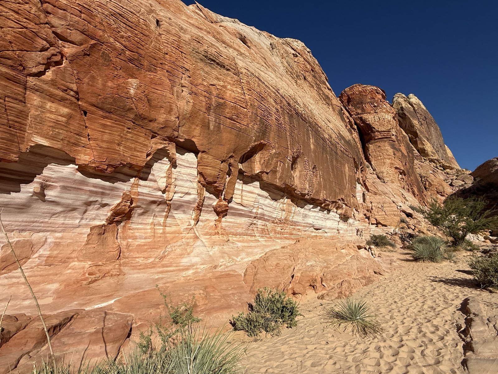 Paroi de grès rouge et blanc à Valley of Fire